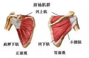 如何准备季末赛以提升个人表现_2